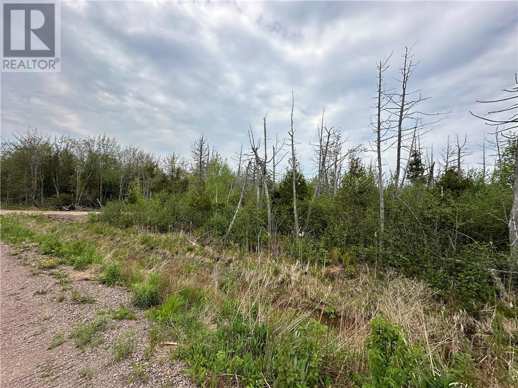 Lot 75-11 Gite, Grand-Barachois, New Brunswick  E4P 7V6 - Photo 5 - M159674