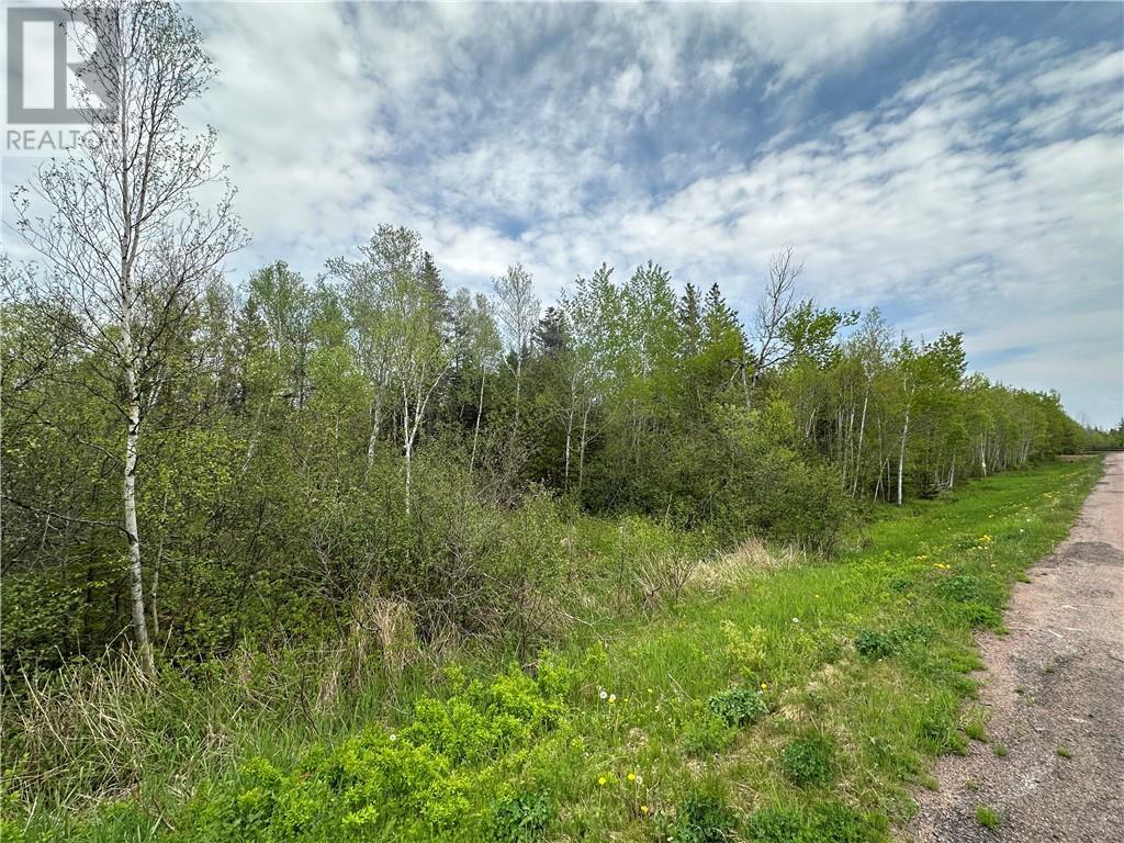 Lot Raymel Road, Grand-Barachois, New Brunswick  E4P 7V6 - Photo 1 - M159671