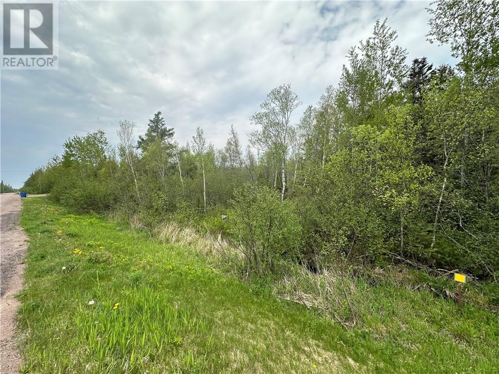 Lot Raymel Road, Grand-Barachois, New Brunswick  E4P 7V6 - Photo 10 - M159671