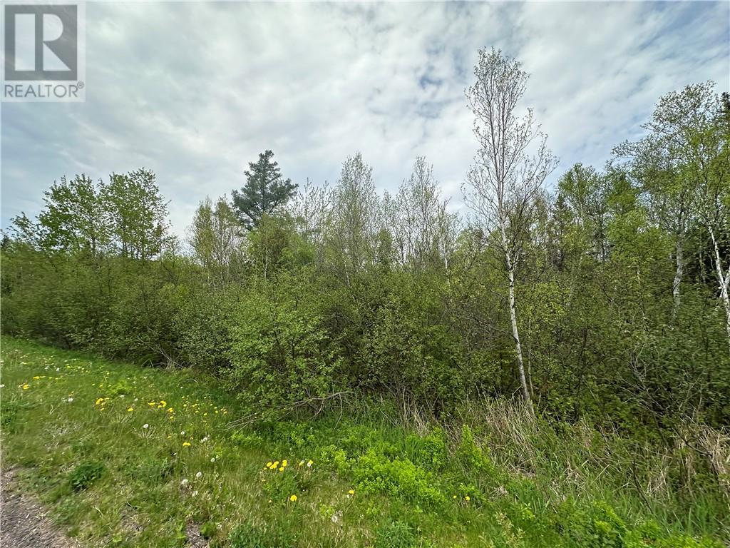 Lot Raymel Road, Grand-Barachois, New Brunswick  E4P 7V6 - Photo 11 - M159671