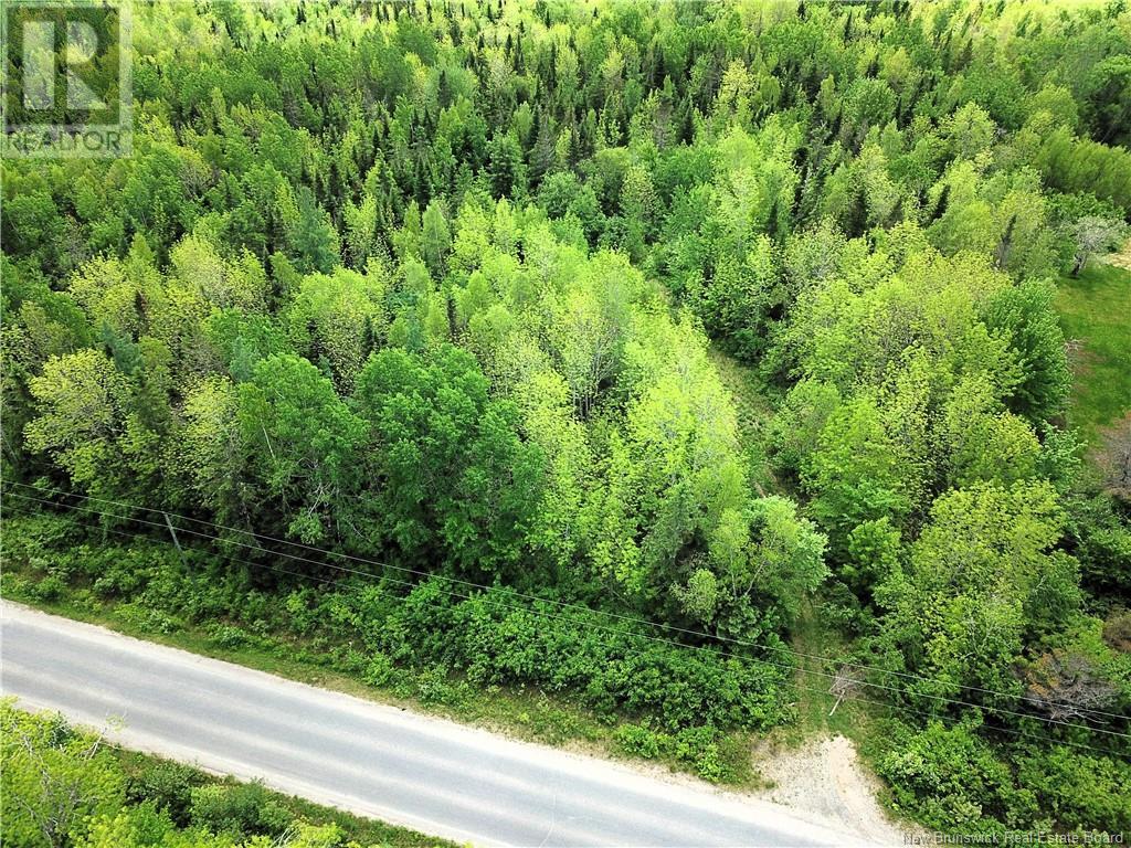 00 Route 735, Scotch Ridge, New Brunswick  E3L 5J7 - Photo 1 - NB100922