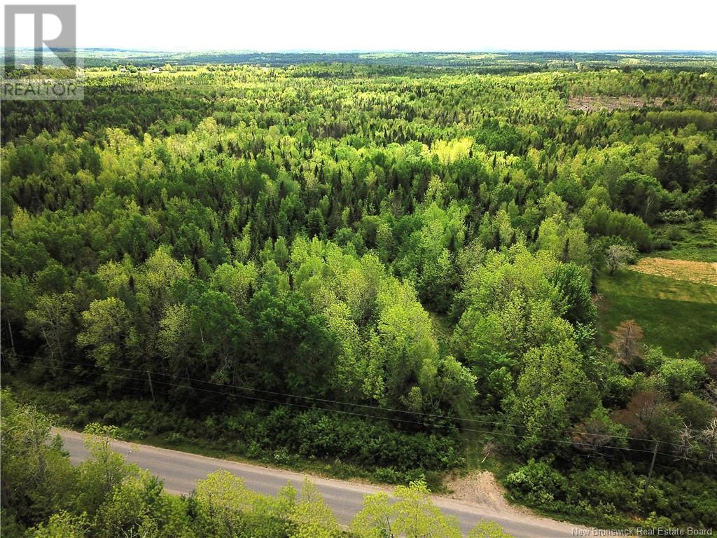 00 Route 735, Scotch Ridge, New Brunswick  E3L 5J7 - Photo 3 - NB100922