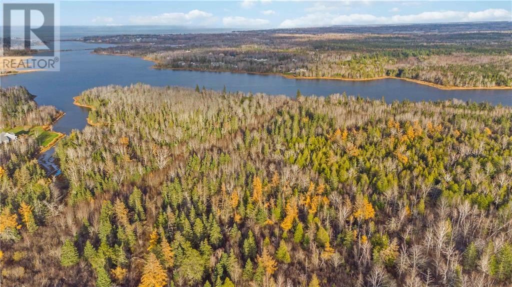 Lots Route 930 Route, Haute-Aboujagane, New Brunswick  E4P 9E2 - Photo 13 - M159602