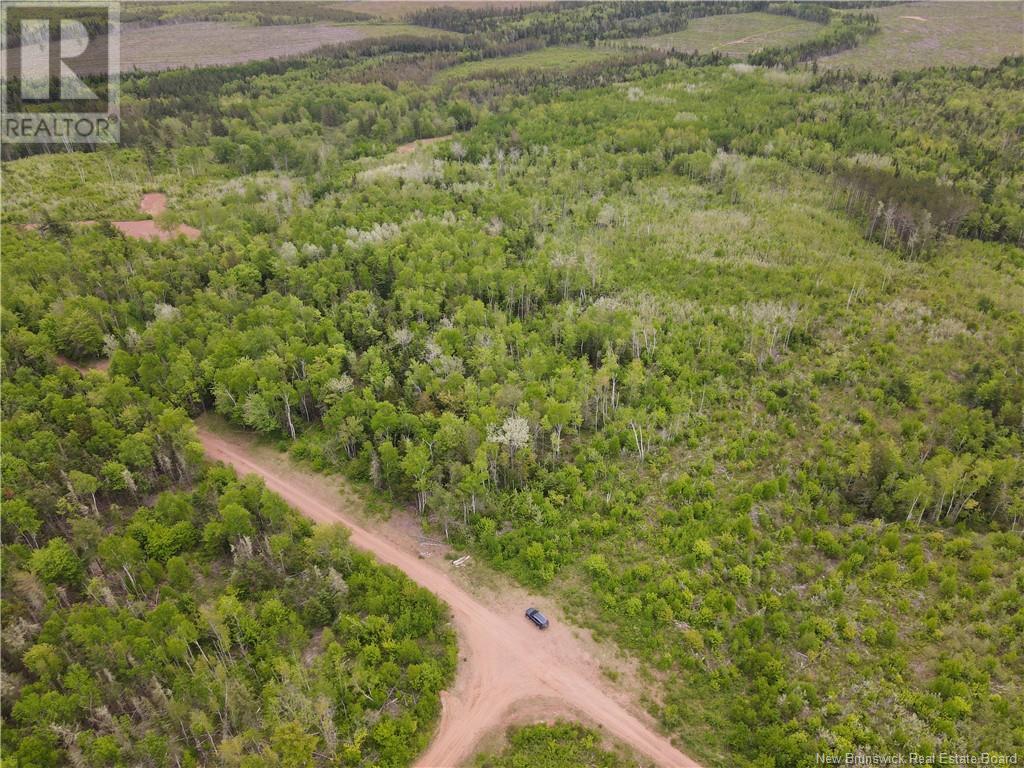 Lot Cemetery Road, Whites Mountain, New Brunswick  E4G 2M4 - Photo 10 - NB101010