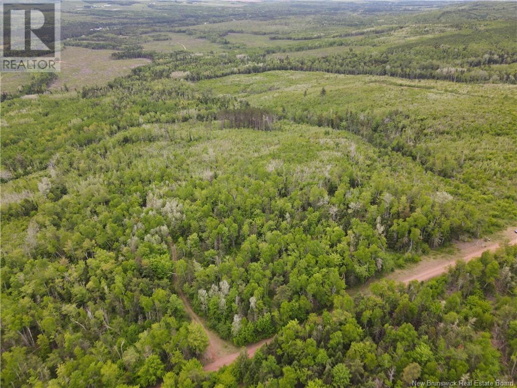 Lot Cemetery Road, Whites Mountain, New Brunswick  E4G 2M4 - Photo 11 - NB101010