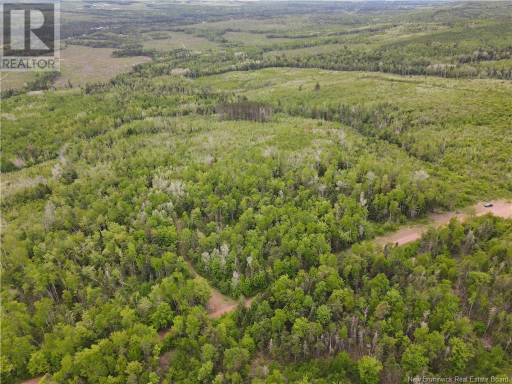 Lot Cemetery Road, Whites Mountain, New Brunswick  E4G 2M4 - Photo 12 - NB101010