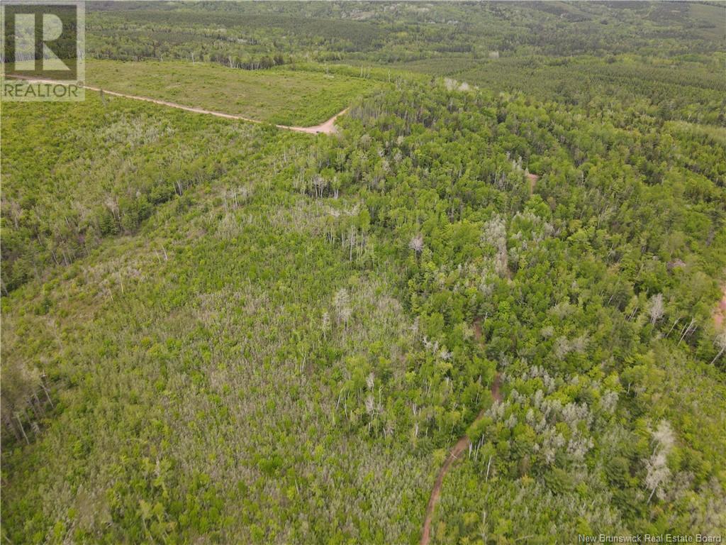 Lot Cemetery Road, Whites Mountain, New Brunswick  E4G 2M4 - Photo 13 - NB101010