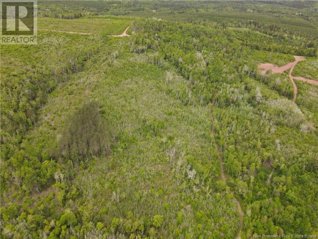 Lot Cemetery Road, Whites Mountain, New Brunswick  E4G 2M4 - Photo 15 - NB101010