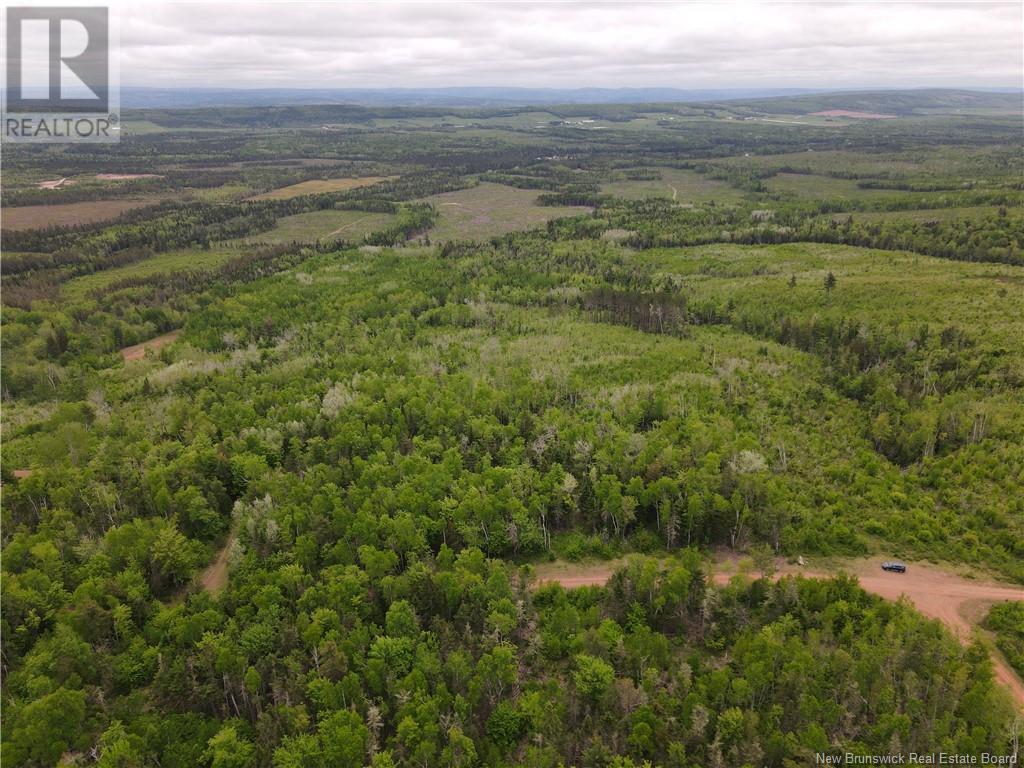 Lot Cemetery Road, Whites Mountain, New Brunswick  E4G 2M4 - Photo 18 - NB101010