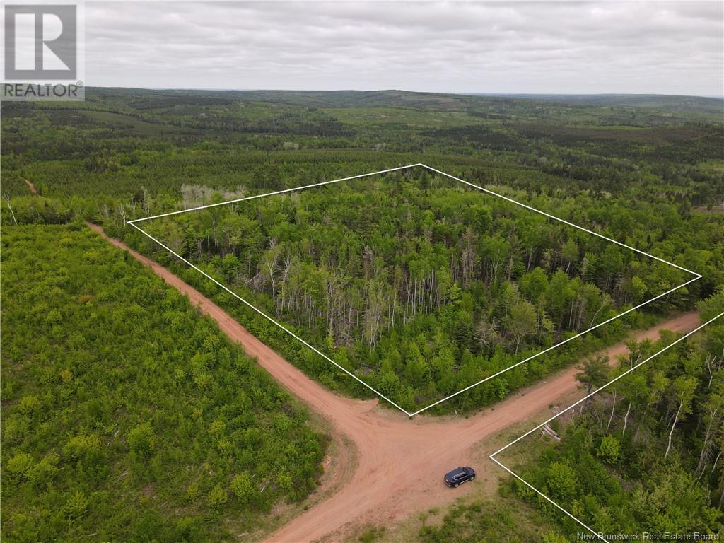 Lot Cemetery Road, Whites Mountain, New Brunswick  E4G 2M4 - Photo 3 - NB101010