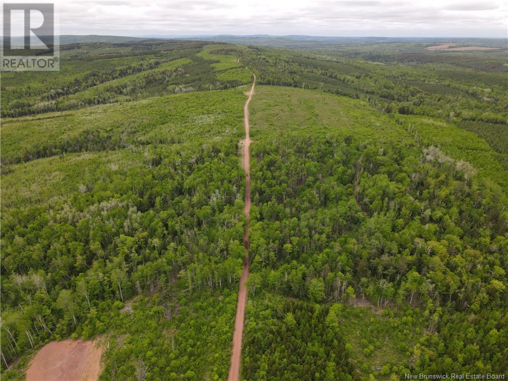 Lot Cemetery Road, Whites Mountain, New Brunswick  E4G 2M4 - Photo 6 - NB101010