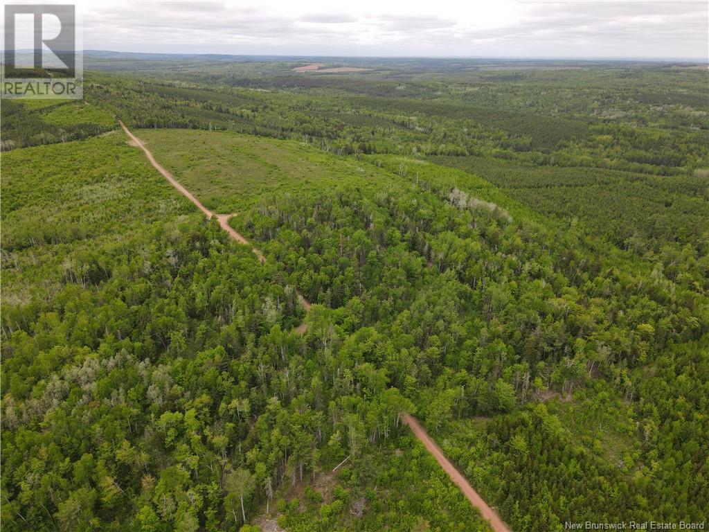 Lot Cemetery Road, Whites Mountain, New Brunswick  E4G 2M4 - Photo 7 - NB101010