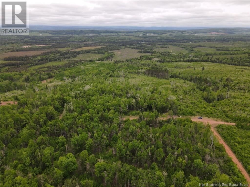 Lot Cemetery Road, Whites Mountain, New Brunswick  E4G 2M4 - Photo 8 - NB101010