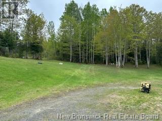 2790 Route 275, Balmoral, New Brunswick  E8E 1L3 - Photo 6 - NB101059