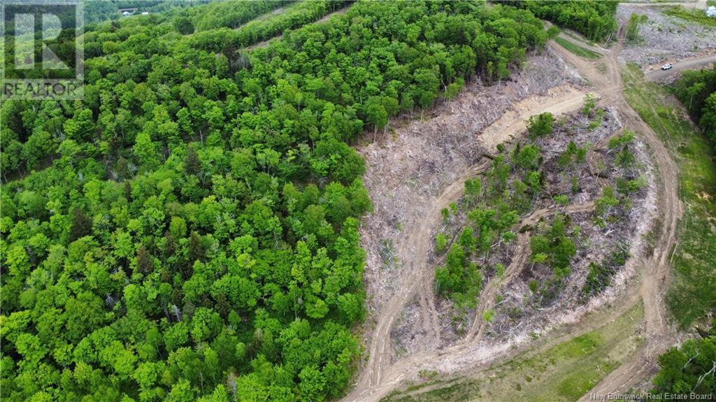 Lot 24-01 Crabbe Mountain, Central Hainesville, New Brunswick  E6E 1E3 - Photo 2 - NB101025