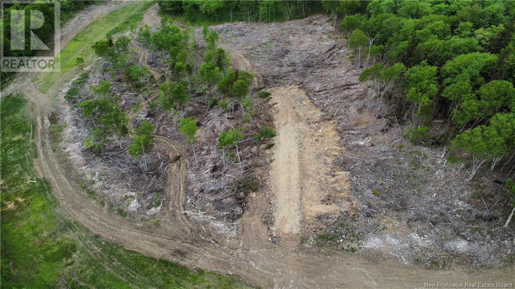 Lot 24-01 Crabbe Mountain, Central Hainesville, New Brunswick  E6E 1E3 - Photo 3 - NB101025