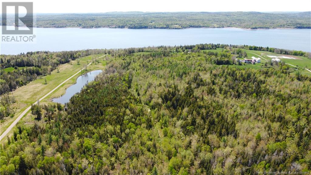 - Bantry Bay Farm, Bayside, New Brunswick  E3B 2V9 - Photo 31 - NB100866