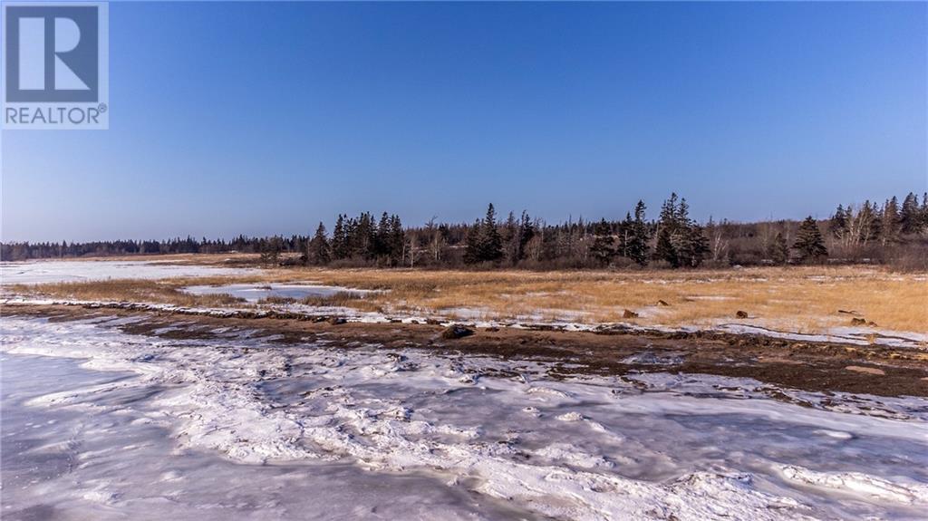 Lot Fort Moncton Road, Baie Verte, New Brunswick  E4M 1G3 - Photo 11 - M159787