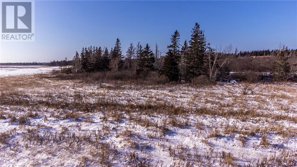 Lot Fort Moncton Road, Baie Verte, New Brunswick  E4M 1G3 - Photo 13 - M159787