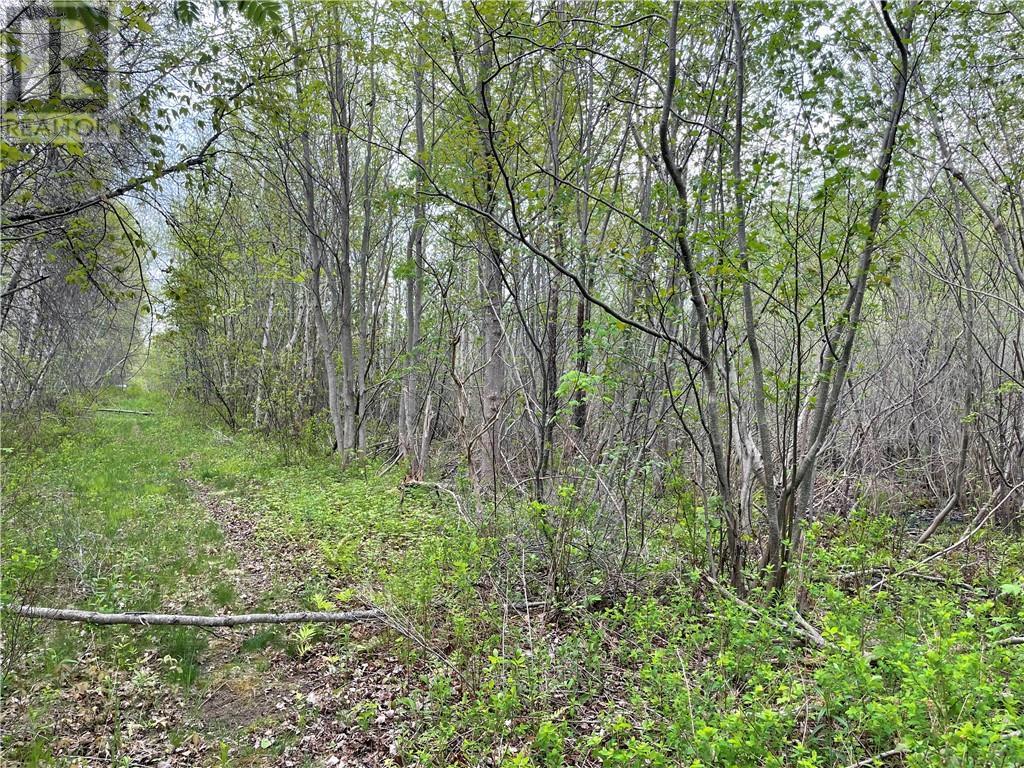 Lot Doiron, Grande-Digue, New Brunswick  E4R 4G1 - Photo 1 - M159763