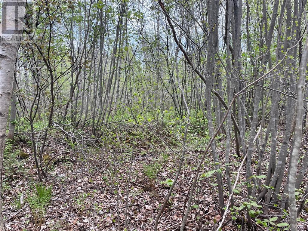 Lot Doiron, Grande-Digue, New Brunswick  E4R 4G1 - Photo 6 - M159763