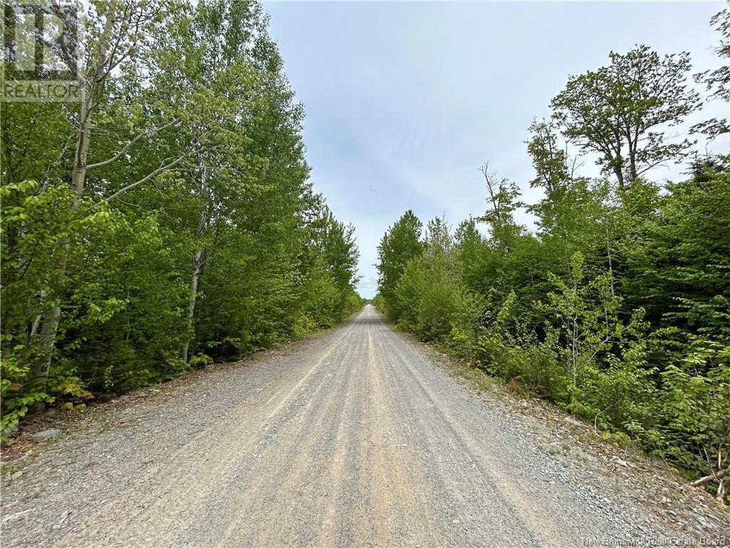 Camp #7 Otter Brook Road, Mcgraw Brook, New Brunswick  E9E 2B7 - Photo 5 - NB101193