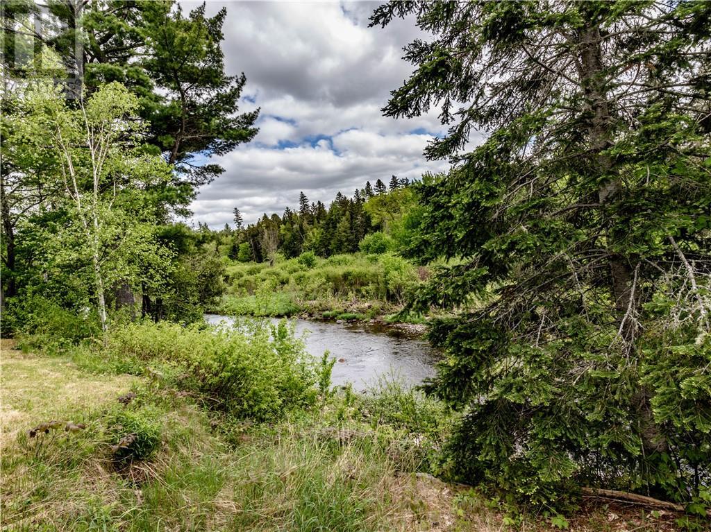 Camp Desherbiers, Saint-Ignace, New Brunswick  E4X 2B8 - Photo 4 - M159772