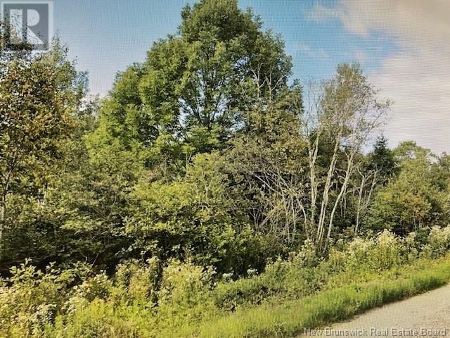 383 And  399 Damascus Road, Damascus, New Brunswick  E5N 4B7 - Photo 1 - NB100746