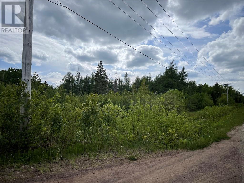 Lot Saint-Athanase, Rogersville, New Brunswick  E4Y 2W3 - Photo 10 - M159839