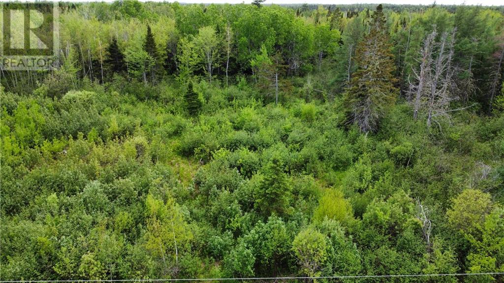 Lot Saint-Athanase, Rogersville, New Brunswick  E4Y 2W3 - Photo 11 - M159839