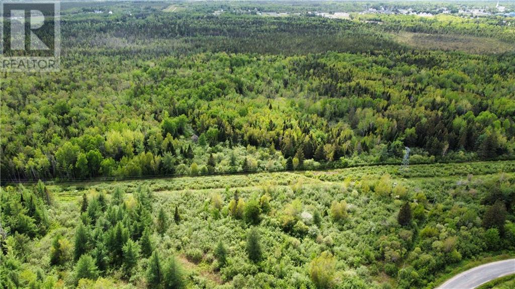 Lot Saint-Athanase, Rogersville, New Brunswick  E4Y 2W3 - Photo 12 - M159839