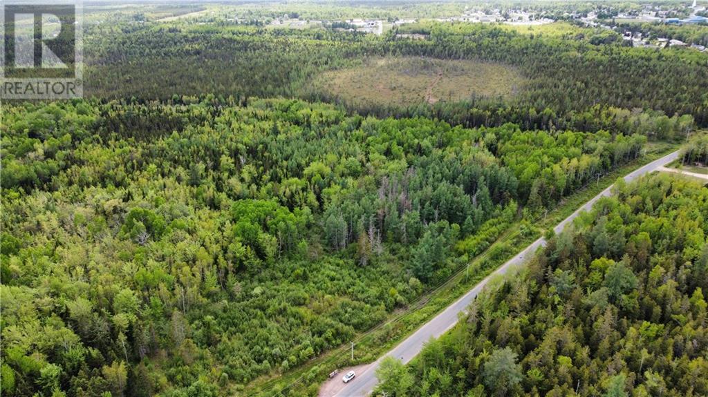 Lot Saint-Athanase, Rogersville, New Brunswick  E4Y 2W3 - Photo 15 - M159839