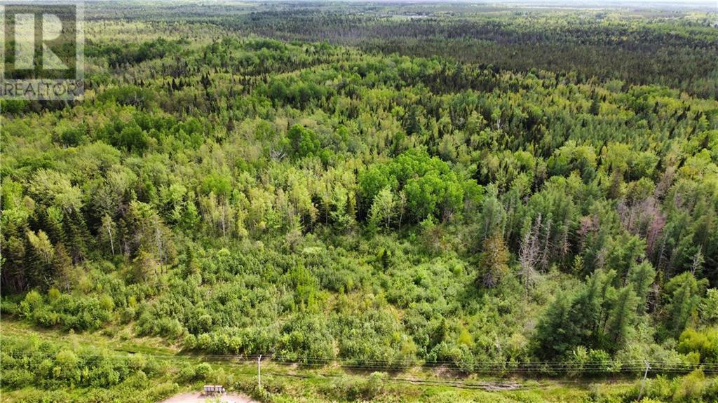 Lot Saint-Athanase, Rogersville, New Brunswick  E4Y 2W3 - Photo 17 - M159839