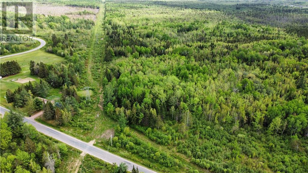 Lot Saint-Athanase, Rogersville, New Brunswick  E4Y 2W3 - Photo 18 - M159839