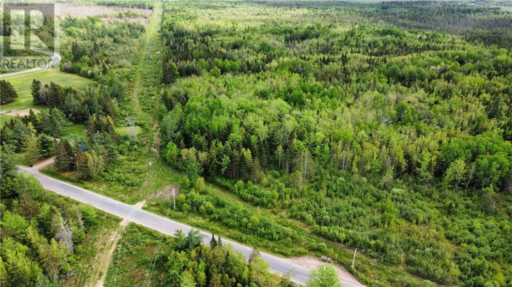 Lot Saint-Athanase, Rogersville, New Brunswick  E4Y 2W3 - Photo 20 - M159839