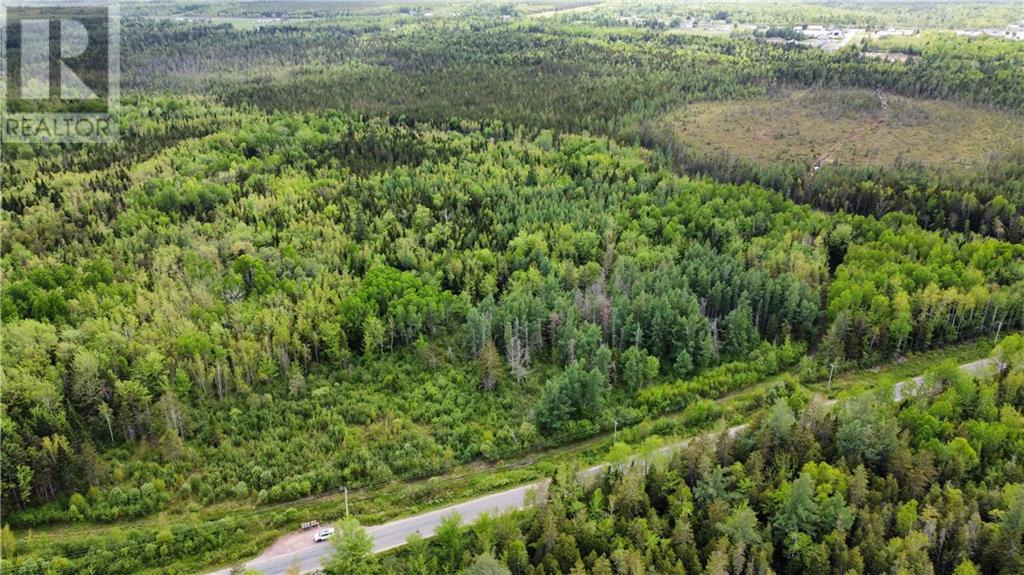 Lot Saint-Athanase, Rogersville, New Brunswick  E4Y 2W3 - Photo 22 - M159839