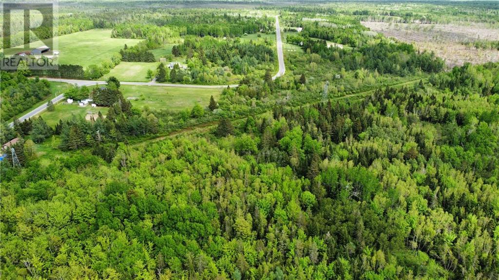 Lot Saint-Athanase, Rogersville, New Brunswick  E4Y 2W3 - Photo 3 - M159839