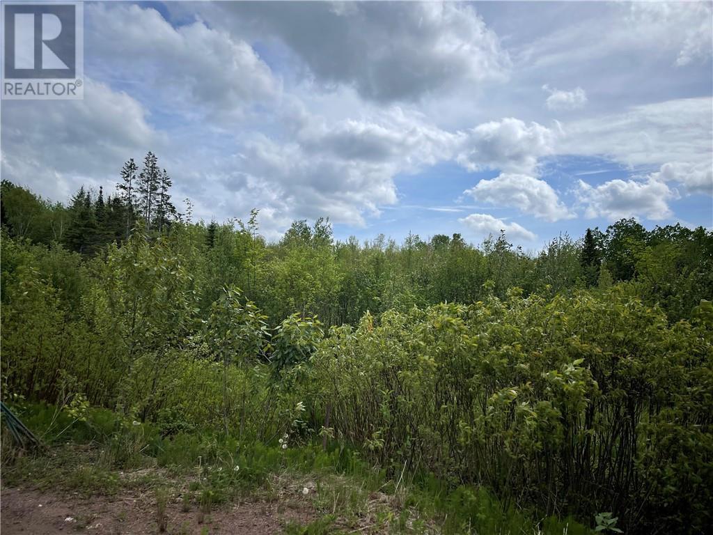 Lot Saint-Athanase, Rogersville, New Brunswick  E4Y 2W3 - Photo 7 - M159839