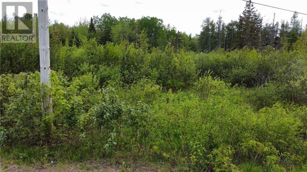 Lot Saint-Athanase, Rogersville, New Brunswick  E4Y 2W3 - Photo 9 - M159839