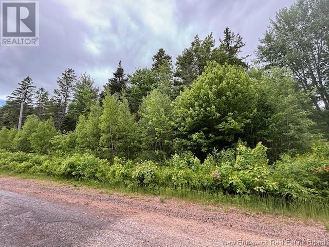 Lot 1 Canada Packers Road, Penobsquis, New Brunswick  E4G 2A2 - Photo 3 - NB101248