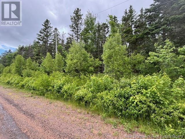 Lot 1 Canada Packers Road, Penobsquis, New Brunswick  E4G 2A2 - Photo 4 - NB101248