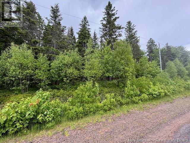 Lot 1 Canada Packers Road, Penobsquis, New Brunswick  E4G 2A2 - Photo 5 - NB101248