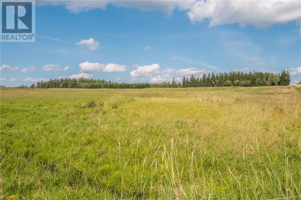 229 Hicks Settlement Road, Hicks Settlement, New Brunswick  E4Z 5B6 - Photo 31 - M159864