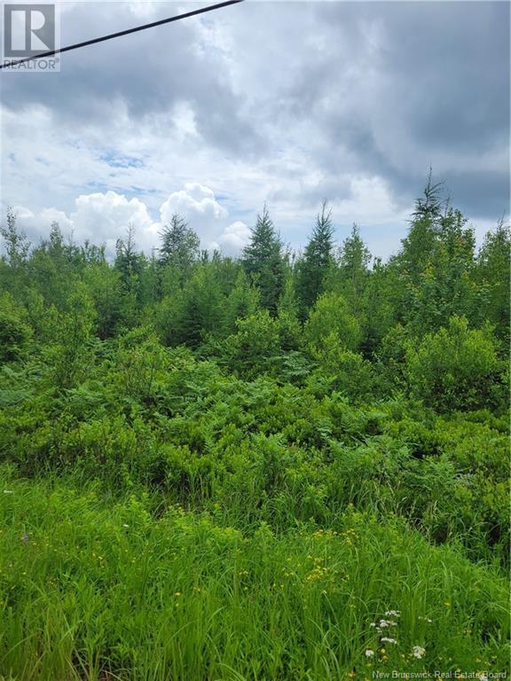 Lot 7 Route 10, Cumberland Bay, New Brunswick E4A 3A3 (26977983) | The ...