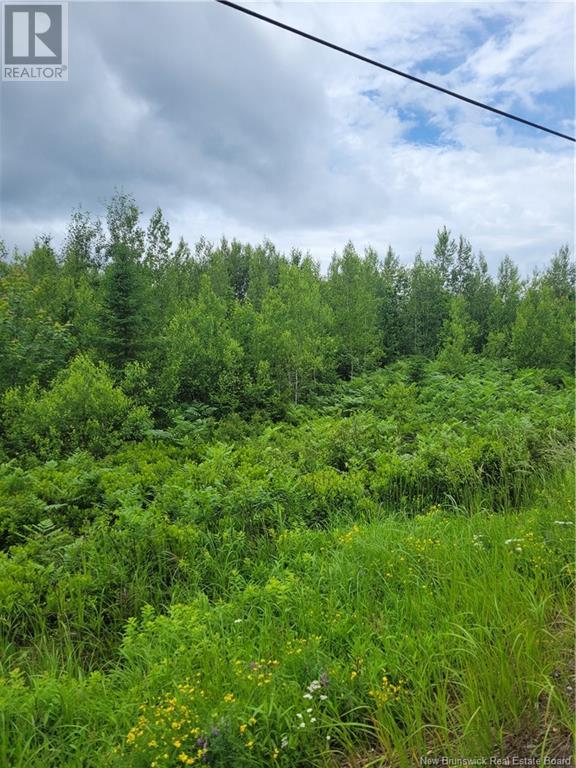 Lot 6 Route 10, Cumberland Bay, New Brunswick  E4A 3A3 - Photo 7 - NB101230