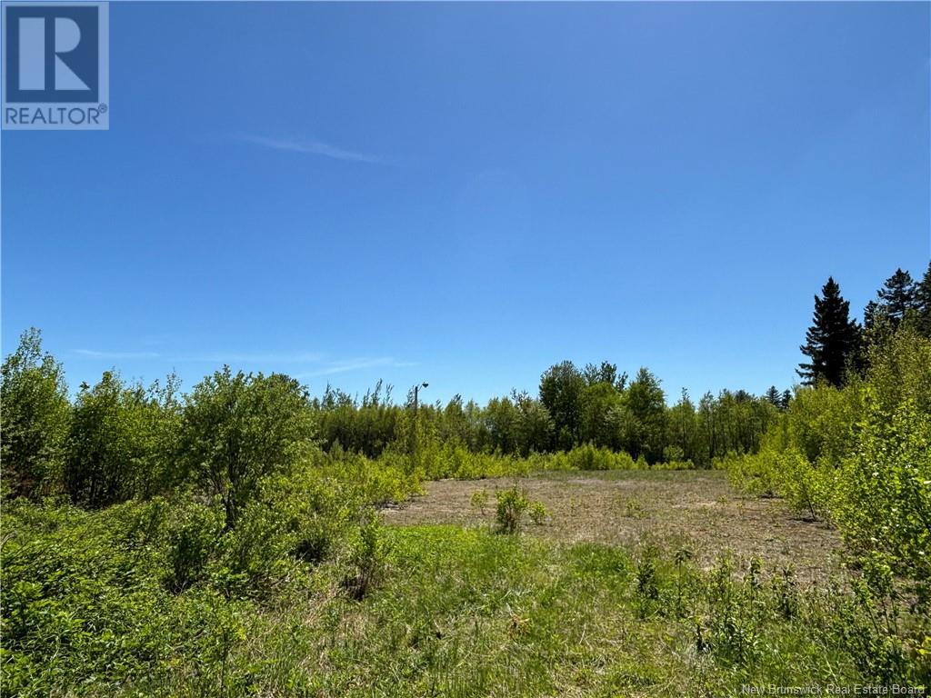 2 Acres Fairisle Road, Neguac, New Brunswick  E9G 1G1 - Photo 7 - NB101290