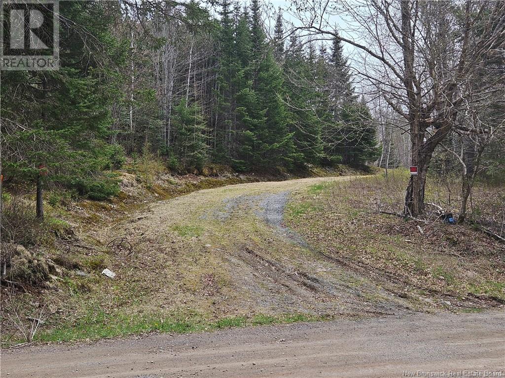 Tbd Ketchum Road, Kingston, New Brunswick  E5N 1Z6 - Photo 3 - NB101362