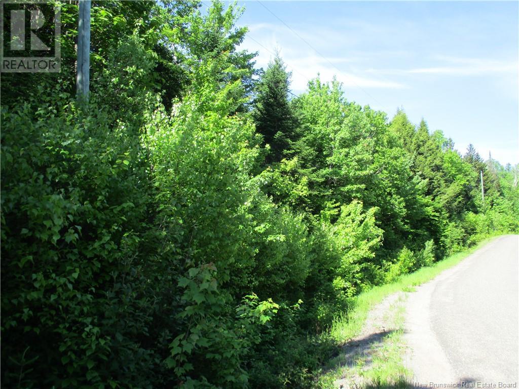 - Menzie Settlement Road, Central Greenwich, New Brunswick  E5M 2L5 - Photo 2 - NB101283