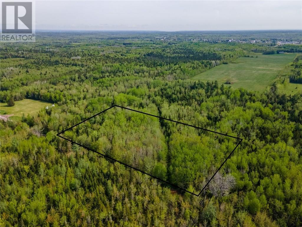 Lot 21-06 Haut Saint-Antoine Road, Saint-Antoine, New Brunswick  E4V 3B3 - Photo 6 - M159810