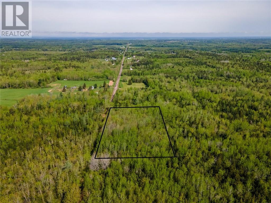 Lot 21-06 Haut Saint-Antoine Road, Saint-Antoine, New Brunswick  E4V 3B3 - Photo 7 - M159810